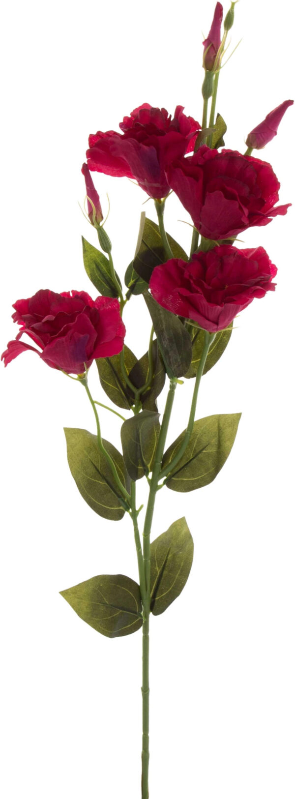 EUSTOMA BEAUTY GAŁĄZKA 82 CM