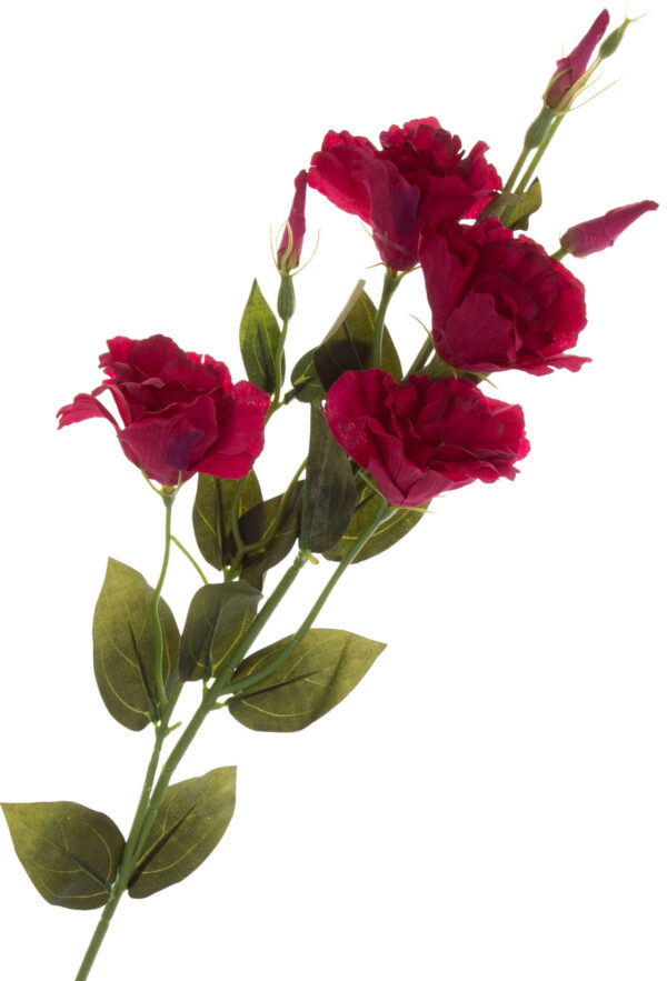 EUSTOMA BEAUTY GAŁĄZKA 82 CM - obrazek 2