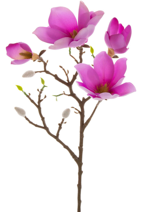 MAGNOLIA VIOLET FIOLETOWA GAŁĄZKA 57 CM