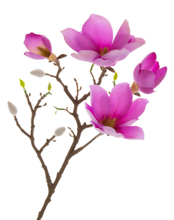 MAGNOLIA VIOLET FIOLETOWA GAŁĄZKA 57 CM - obrazek 2