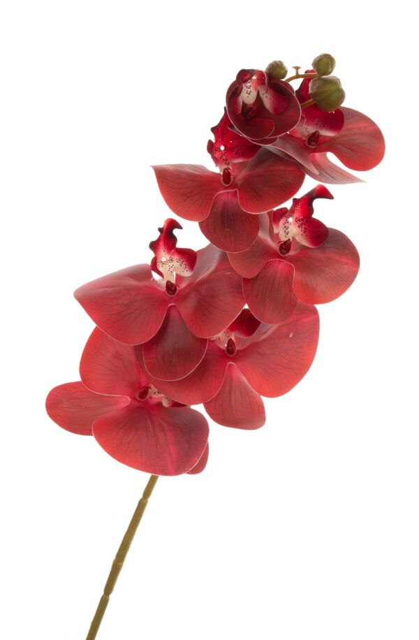 STORCZYK BORDOWY ORCHIDEA GAŁĄZKA 76 CM KWIATY SZTUCZNE - obrazek 2