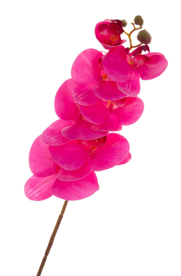 STORCZYK MAGENTA ORCHIDEA GAŁĄZKA 76 CM KWIATY SZTUCZNE - obrazek 2