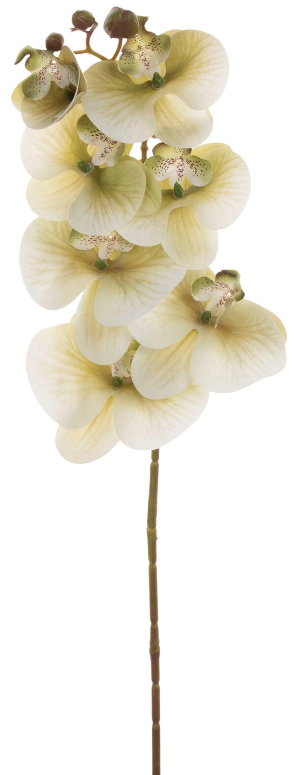 STORCZYK ZIELONY KREM ORCHIDEA GAŁĄZKA 76 CM KWIATY SZTUCZNE