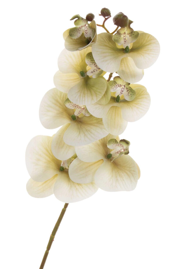 STORCZYK ZIELONY KREM ORCHIDEA GAŁĄZKA 76 CM KWIATY SZTUCZNE - obrazek 2