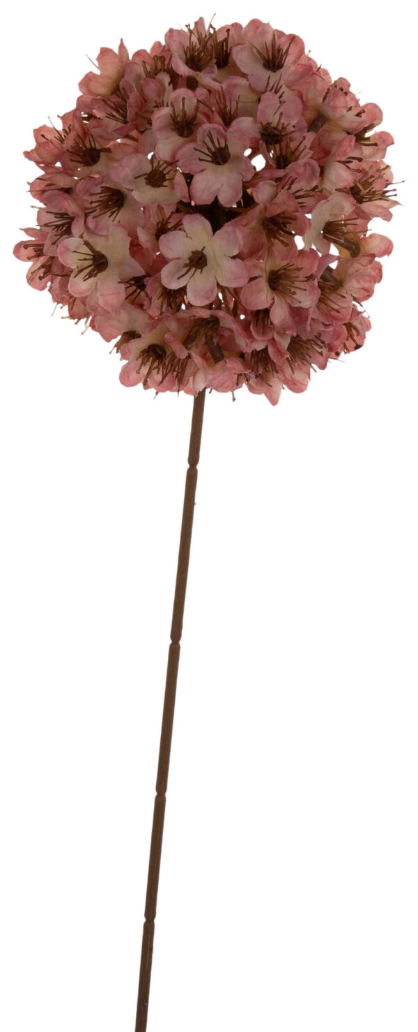 CZOSNEK OZDOBNY RÓŻOWY GAŁAZKA OZDOBNA 76 CM