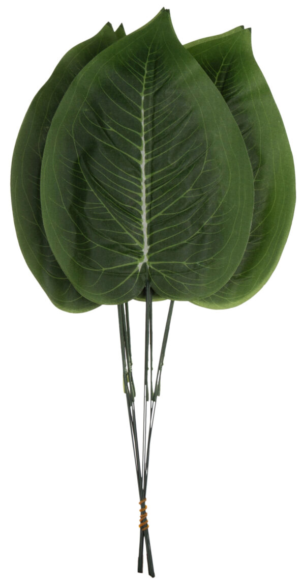 12 X LIŚĆ LIŚCIE DIFENBACHIA 47 CM GAŁĄZKI DO KOMPOZYCJI - obrazek 2
