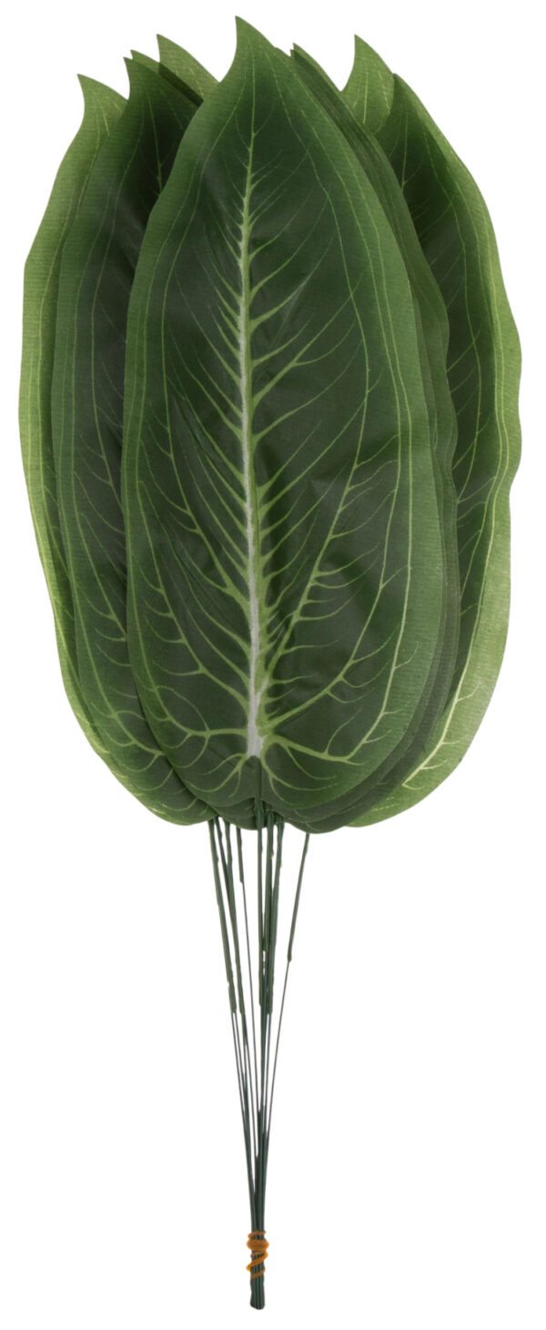 12 X LIŚĆ LIŚCIE DIFENBACHIA PODŁUŻNY 48 CM GAŁĄZKI DO KOMPOZYCJI - obrazek 2