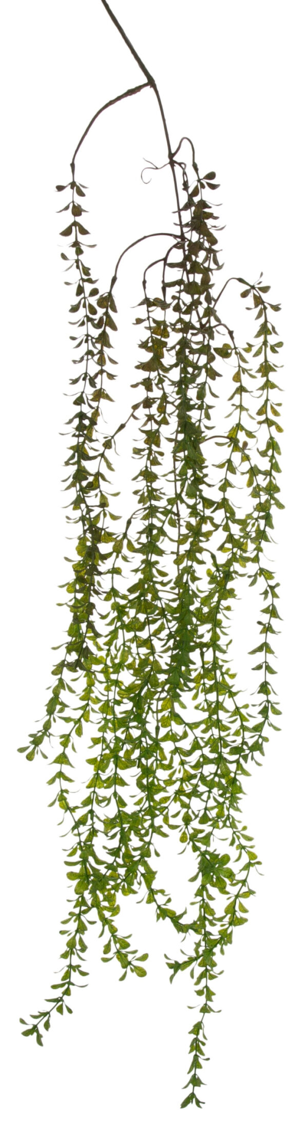 BUKSZPAN PNĄCZE ZWIS 118 CM