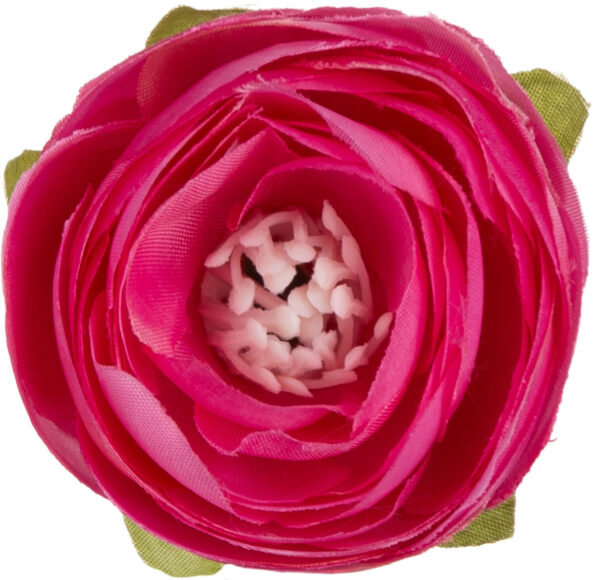 48X JASKIER PEŁNIK C. RÓŻ RANUNCULUS GŁÓWKA WYROBOWA - obrazek 2