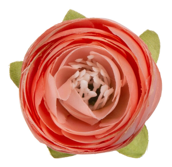 48X JASKIER PEŁNIK ŁOSOSIOWY RANUNCULUS GŁÓWKA WYROBOWA - obrazek 3