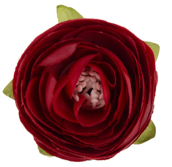 48X JASKIER PEŁNIK BORDO RANUNCULUS GŁÓWKA WYROBOWA - obrazek 3