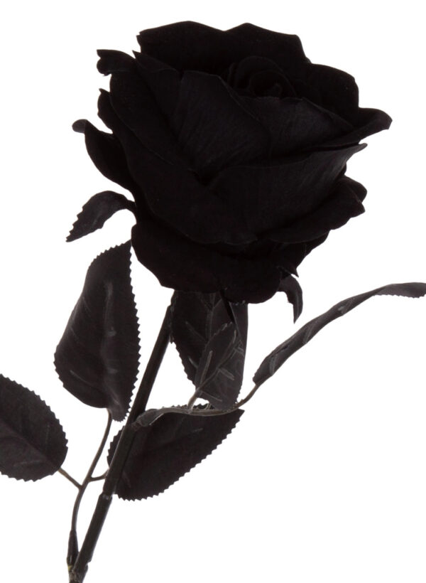 RÓŻA CZARNA GAŁĄZKA 61 CM BLACK WELUR