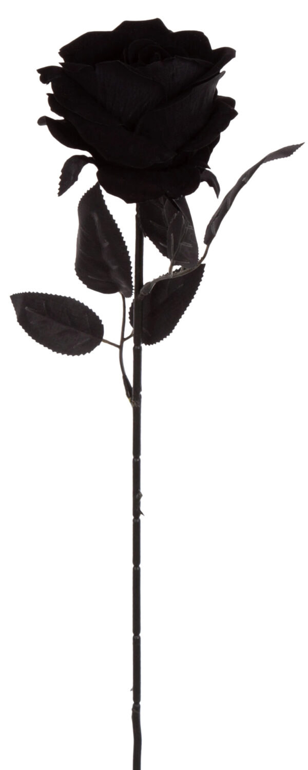 RÓŻA CZARNA GAŁĄZKA 61 CM BLACK WELUR - obrazek 2