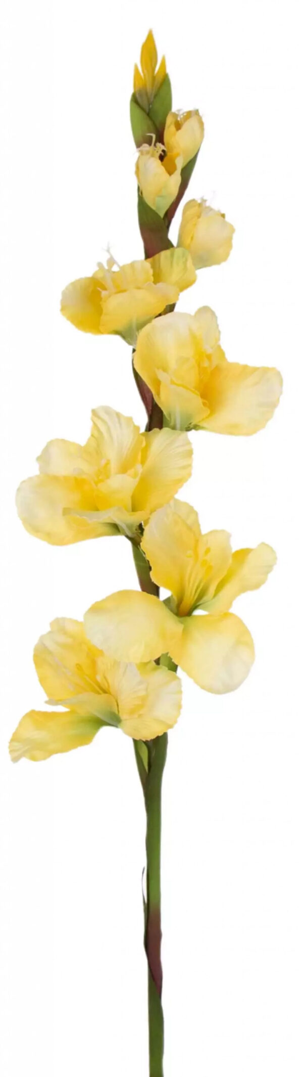 MIECZYK GLADIOLA ŻÓŁTY 85 CM JAK ŻYWY