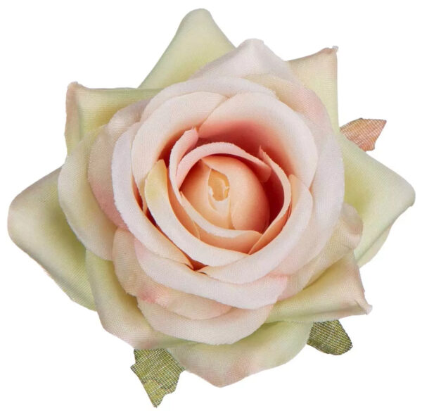 RÓŻA GŁÓWKA WYROBOWA 24 SZT. APRICOT CREAM