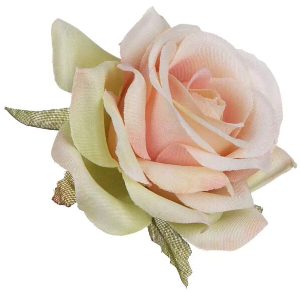 RÓŻA GŁÓWKA WYROBOWA 24 SZT. APRICOT CREAM - obrazek 2