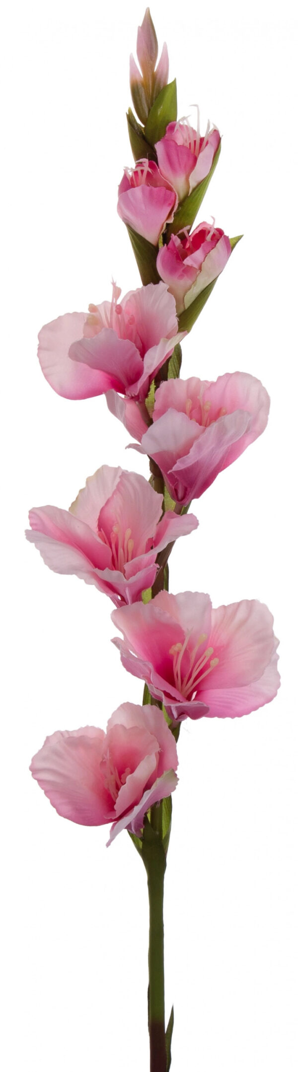 MIECZYK RÓŻOWY DEEP PINK 85 CM JAK ŻYWY