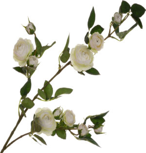 DZIKA RÓŻA GAŁĄZKA BIAŁA 80 CM WHITE