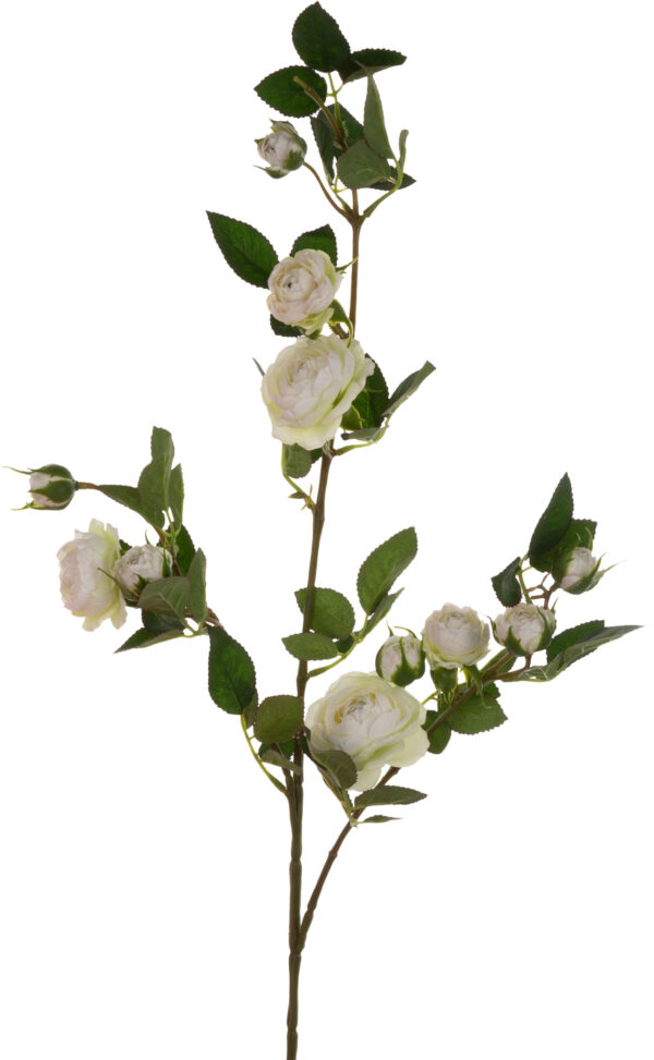 DZIKA RÓŻA GAŁĄZKA BIAŁA 80 CM WHITE - obrazek 2