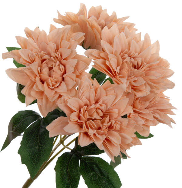 DALIA BRZOSKWINIOWA BUKIET 5 KWIATÓW 40 CM
