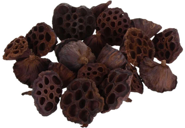 20X LOTOS NATURALNY SUSZ NATURALNY EGZOTYCZNY