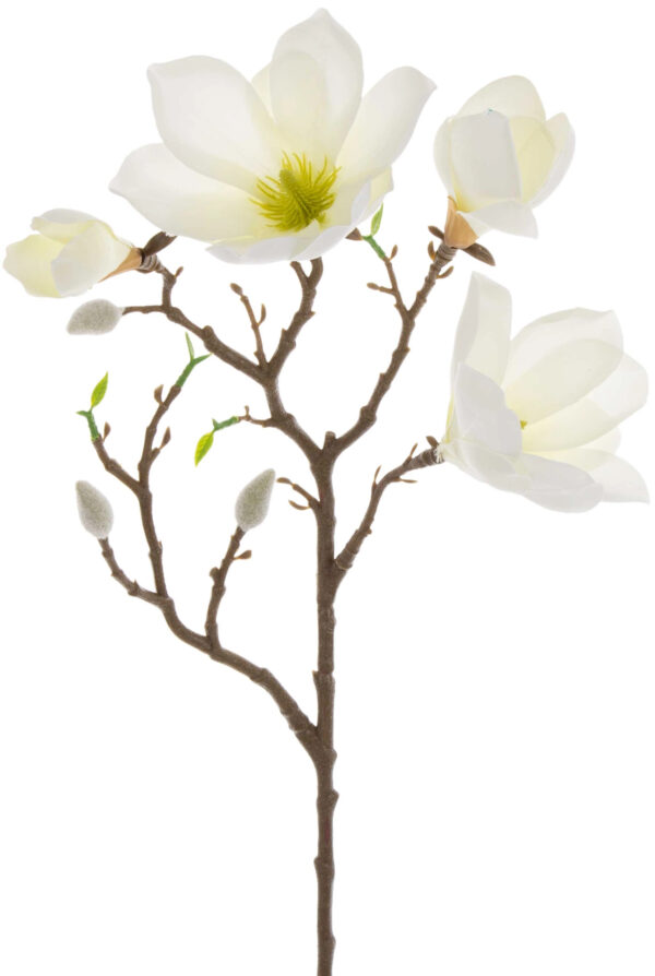 MAGNOLIA WHITE GREEN BIAŁA ZIELONA GAŁĄZKA 57 CM