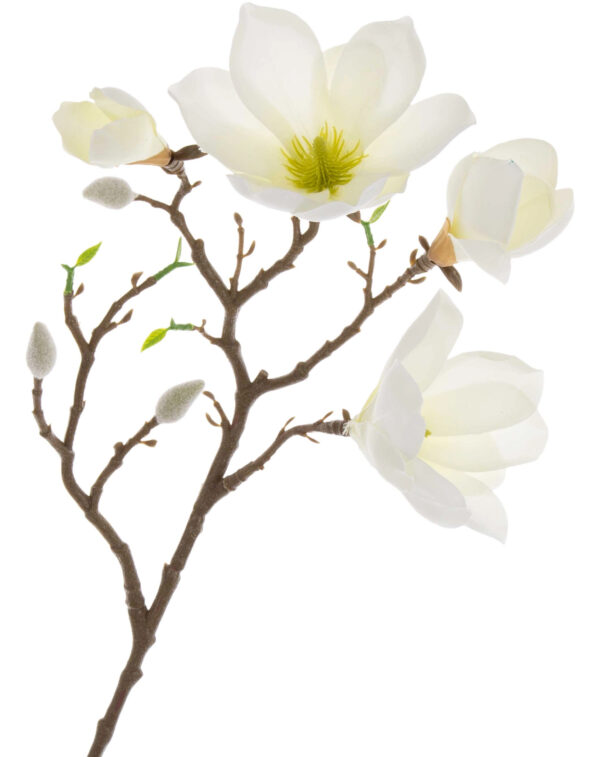 MAGNOLIA WHITE GREEN BIAŁA ZIELONA GAŁĄZKA 57 CM - obrazek 2