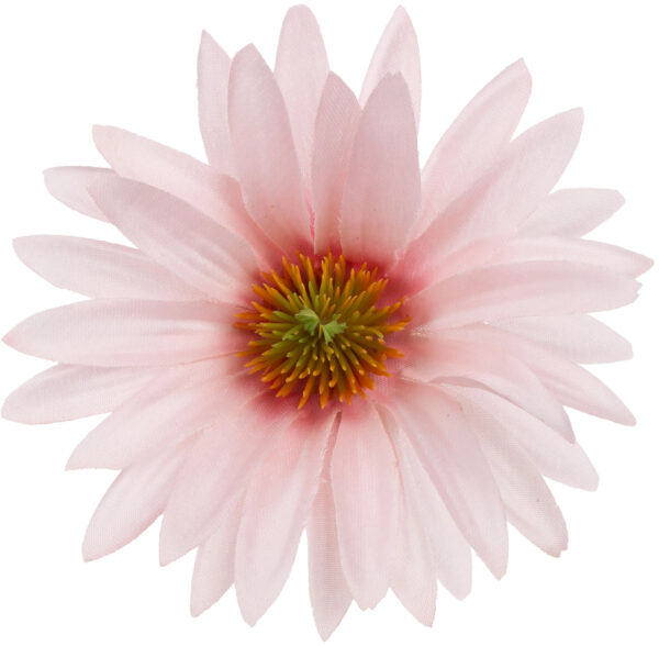 ASTER RÓŻOWY LT PINK RUDBEKIA JEŻÓWKA GŁÓWKA WYROBOWA