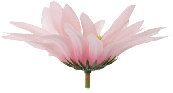 ASTER RÓŻOWY LT PINK RUDBEKIA JEŻÓWKA GŁÓWKA WYROBOWA - obrazek 3