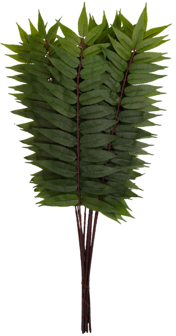 LIŚĆ LAUROWY GAŁĄZKA DO KOMPOZYCJI 72 CM - obrazek 2