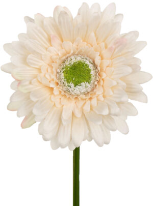 GERBERA HALVAH GAŁĄZKA 46 CM ŁODYGOWA