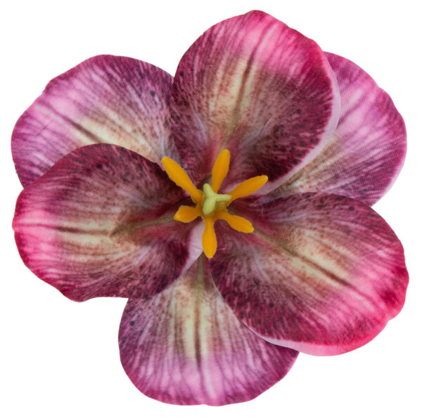 12X MAGNOLIA BEAUTY GŁÓWKA WYROBOWA