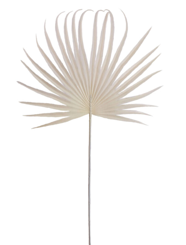 LIŚĆ PALMY KREM GAŁĄZKA DO KOMPOZYCJI 48 CM