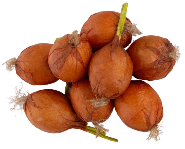 8X CEBULA SZTUCZNA DO DEKORACJI