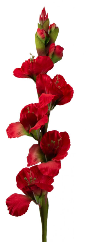 MIECZYK GLADIOLA CZERWONO ZIELONY 85 CM JAK ŻYWY