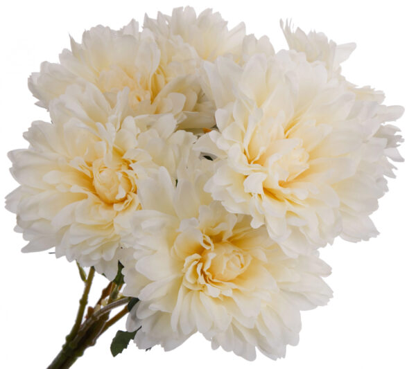 DALIA KREMOWA BUKIET 7 KWIATÓW 55 CM - obrazek 2