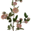 DZIKA RÓŻA GAŁĄZKA DELICATE APRICOT 80 CM - obrazek 2