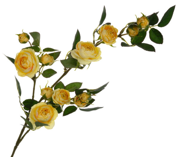 DZIKA RÓŻA GAŁĄZKA ŻÓŁTA 80 CM YELLOW