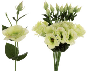 12X EUSTOMA J. ZIELEŃ LT GREEN GAŁĄZKA 48 CM