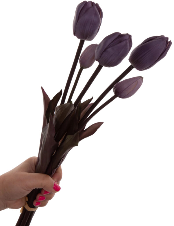 TULIPAN FIOLETOWY GUMOWY BUKIET TULIPANÓW 5 KWIATÓW JESIEŃ - obrazek 2