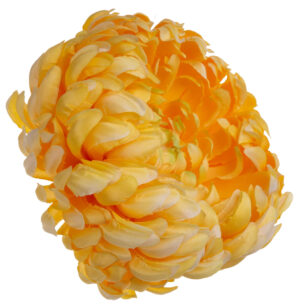 CHRYZANTEMA GŁÓWKA WYROBOWA SUNNY YELLOW PREMIUM