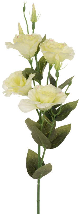 EUSTOMA LT. GREEN GAŁĄZKA 82 CM