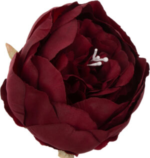 12X PEONIA PIWONIA BORDOWA GŁÓWKA WYROBOWA