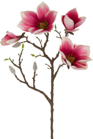 MAGNOLIA PINK RÓŻ KREMGAŁĄZKA 57 CM