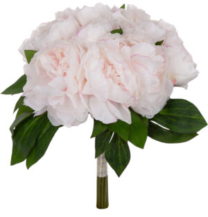 PIWONIA PEONIA BUKIET PREMIUM 12 KWIATÓW CREAM POWDER PINK JASNY KREM RÓŻ