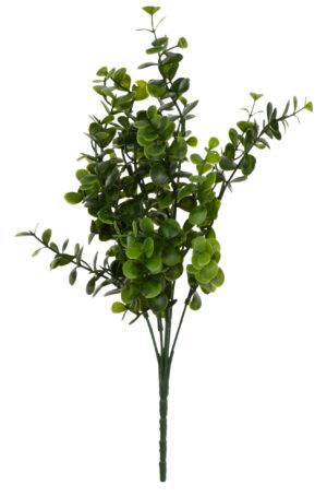 BUKSZPAN GRYCZPAN BORÓWKA 36 CM
