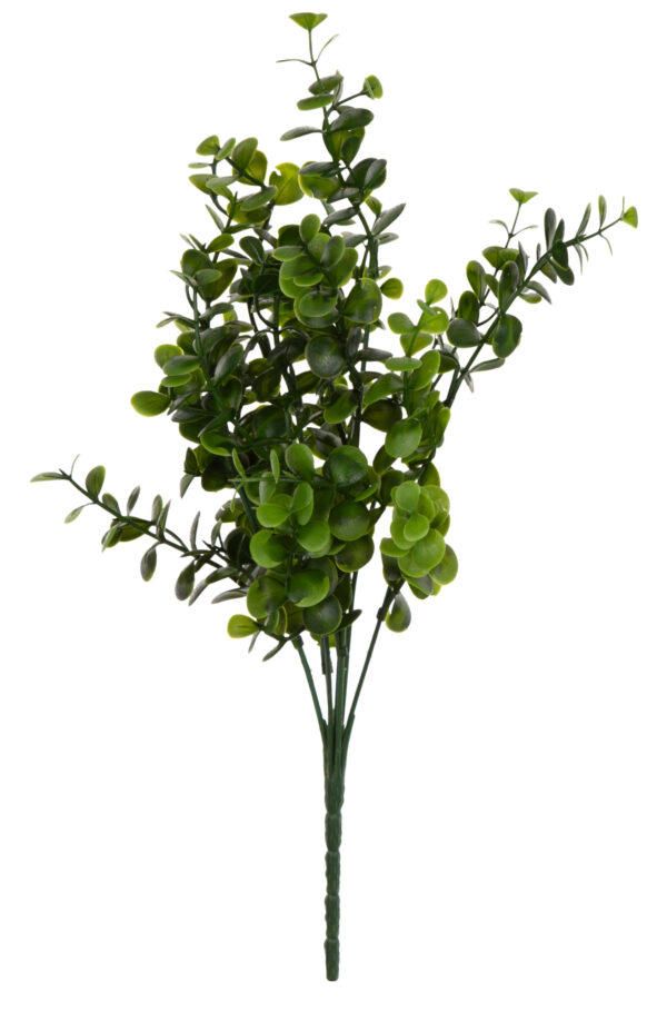 BUKSZPAN GRYCZPAN BORÓWKA 36 CM
