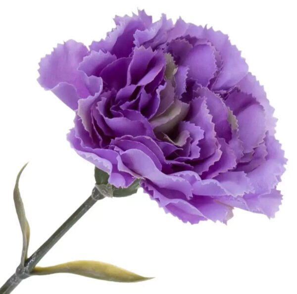 12X GOŹDZIK GAŁĄZKA VIOLET GREEN FIOLETOWY 67 CM - obrazek 2