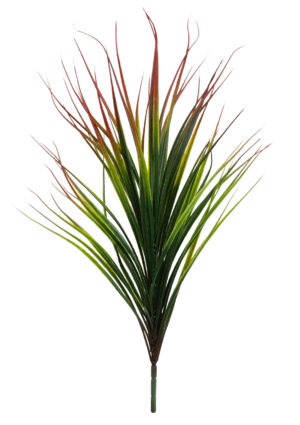 DRACENA TRAWA BUKIET PIK 58 CM