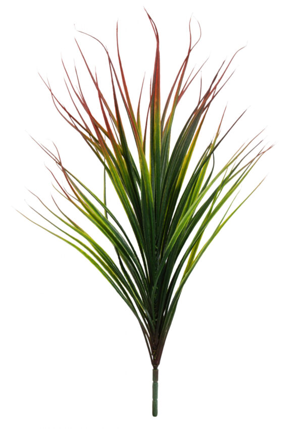 DRACENA TRAWA BUKIET PIK 58 CM